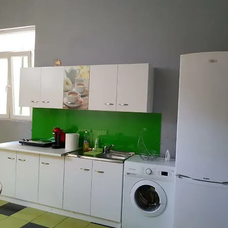 Apartment Ungureanu 17 Timisoara