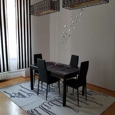 Apartment Ungureanu 17