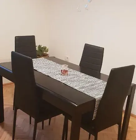 Apartment Ungureanu 17 *
