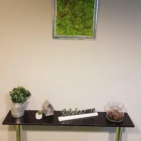 Ungureanu 17 Apartment Timisoara