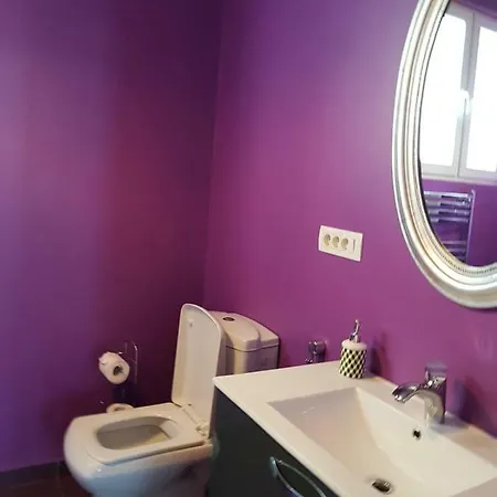 Apartment Ungureanu 17